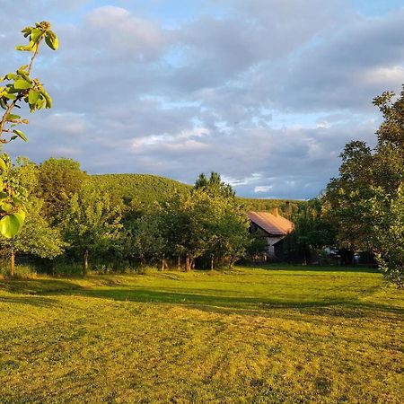 Tepke Guesthouse Garab ภายนอก รูปภาพ